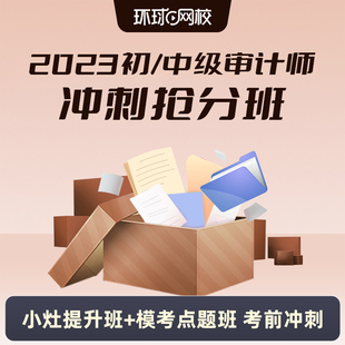 冲刺抢分班课程视频课件考前冲刺课 环球网校2023初级中级审计师