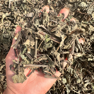 月子洗澡草晒干广防风草防风草落马衣秽草稀莶草抹药抹草干货500g