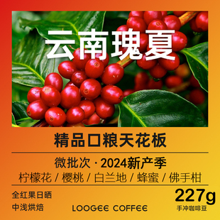 鹿吉云南瑰夏咖啡豆日晒阿拉比卡意式 手冲soe现磨咖啡粉454g 美式