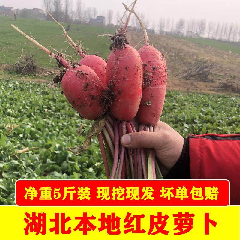 萝卜湖北本地特产农家自种当季蔬菜红皮萝卜红皮白心泡菜萝卜批发,水产肉类/新鲜蔬果/熟食,萝卜/胡萝卜,淘宝优惠券,粉丝福利购,淘宝优惠卷
