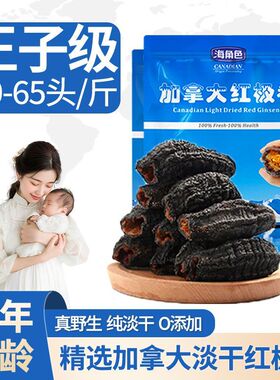 SEA ROLE加拿大进口红极参 圆筒海参王子级500克/袋装(50-65头)