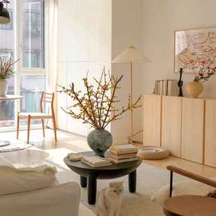 中国腊梅 | 冬季爆花机器花期长好养水培室内鲜切绿植顺丰斗南