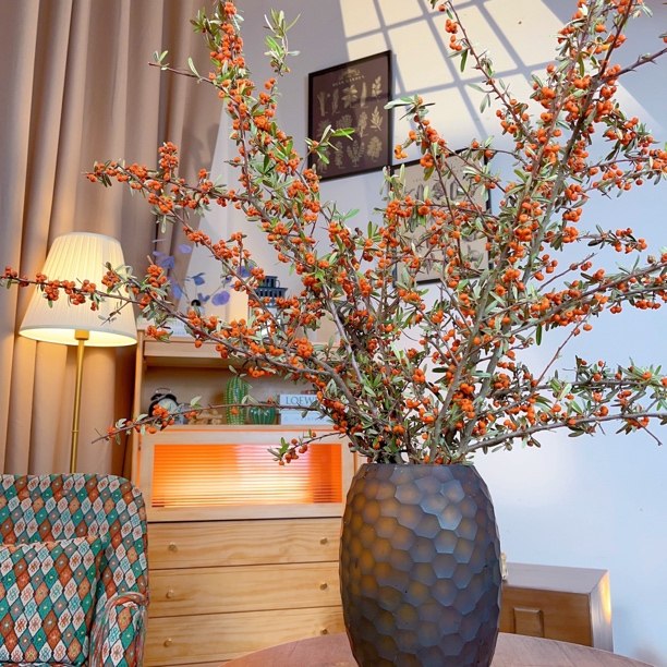 火棘果丨水培花卉果实花材鲜花植物室内鲜切好养开客厅云南斗南,鲜花速递/花卉仿真/绿植园艺,花材,淘宝优惠券,粉丝福利购,淘宝优惠卷