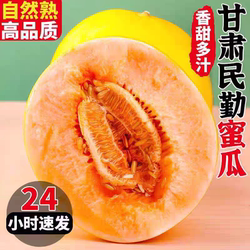 甘肃民勤蜜瓜武威沙漠黄河哈密瓜脆甜爽口新鲜水果甜瓜黄金红金宝