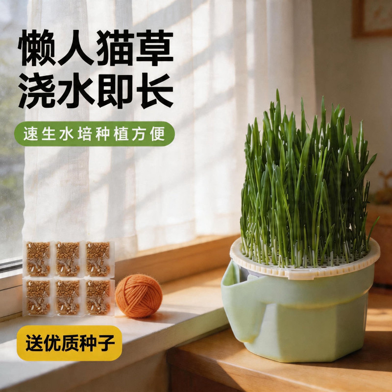 猫草水培盆懒人水培杯种植猫草杯盆栽排毛球化毛草猫草盆猫咪零食