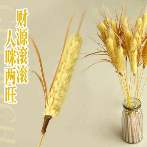 大麦仿真草逗猫棒自嗨耐咬互动