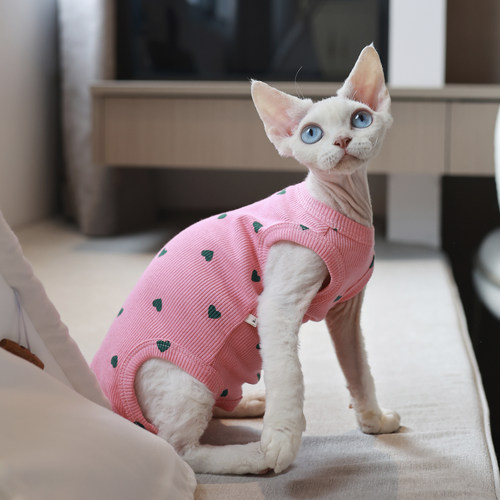 猫咪轻薄高弹夏季四脚衣