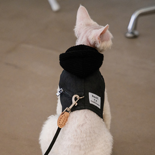 任发财韩系遛猫胸背带牵引绳无毛猫德文衣服斯芬克斯猫户外黑