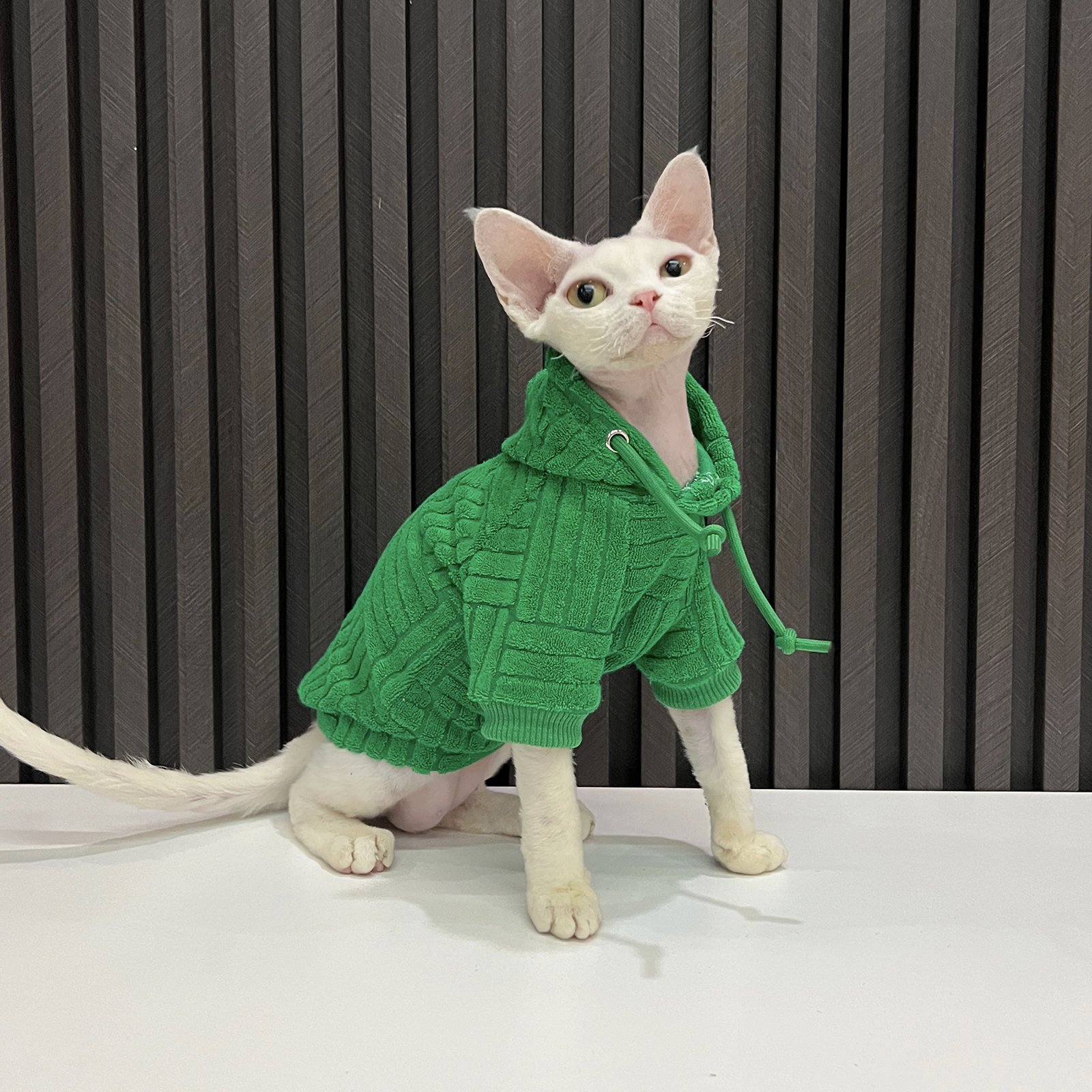 连帽衫可以让小孩成为最潮的！