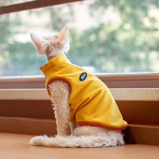 加绒华夫格保暖马甲德文猫衣服斯芬克斯无毛猫柯尼斯阿比