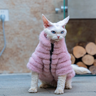 任发财仿兔毛条纹皮草无毛猫衣服毛绒猫咪德文皮草大衣阿比东短粉