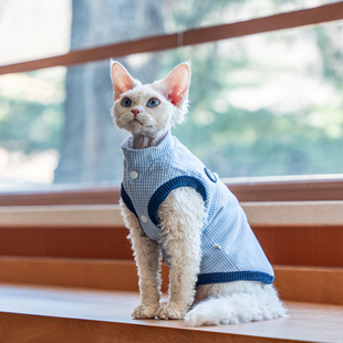 加绒华夫格保暖马甲德文猫衣服斯芬克斯无毛猫柯尼斯阿比