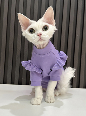 任发财紫色花边T恤无毛猫衣服德文衣服斯芬克斯猫夏季纯棉透气