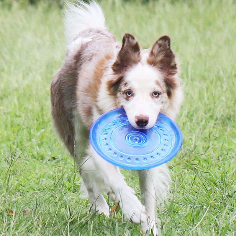 Frisbee Dogs toy soft pet Frisbee Edge of husbandry Frisbee UFO Dog training toy Golden Retriever Samoyedin the Pet/Pet food and supplies , Cat/Dog Toys , Flying disk  category - from Buy2taobao.com to provide professional Taobao agent buy service