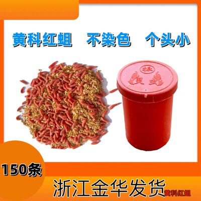 野钓150条红蛆虫钓鱼超浓腥活饵鲫鱼白条石斑公鱼蚯蚓红虫专用虫