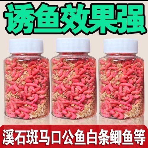 饵料活蛆虫钓鱼活体大蛆野钓狂拉鲜活红蛆鲫鲤白条通杀一百五十条