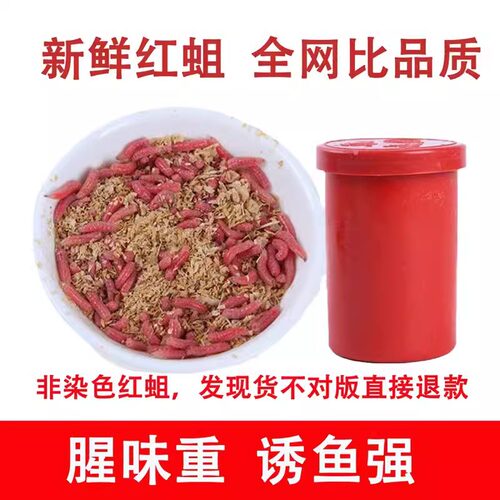 户外钓鱼野钓鲜活红蛆虫活饵钓鱼饵料溪流石斑鱼马口白条鲫鱼鲶鱼