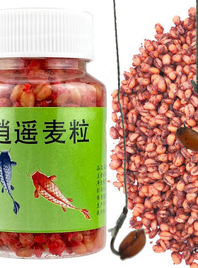 鱼诱中国活饵/谷麦饵等饵料