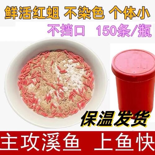 野钓活饵钓鱼蛆虫红蛆虫活虫溪流石斑鱼马口白条鲫鱼绝杀盒装饵料