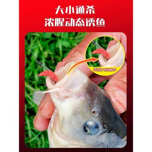 钓鱼红蛆虫新鲜鲜活溪流活饵石斑鱼野钓马口白条公鱼鲫鱼饵料牙子