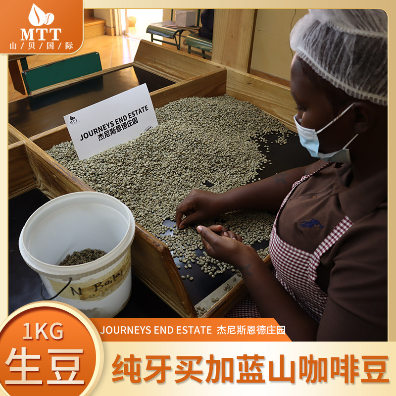 牙买加蓝山咖啡生豆杰尼斯庄园一号豆1kg2026年新产季铁皮卡