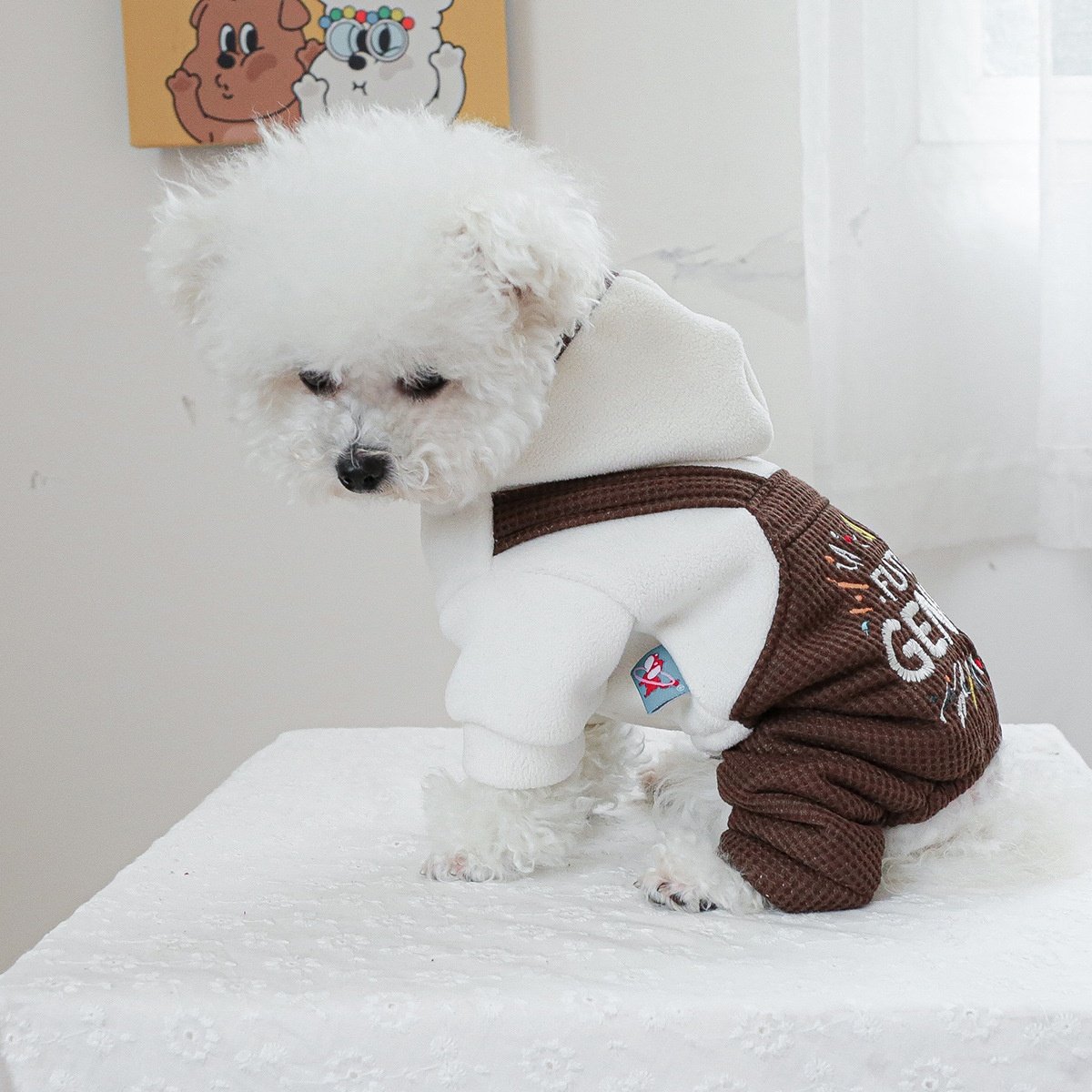 宠物服装宠物小狗猫衣服小型犬秋冬新款小天才背带裤四脚衣,宠物/宠物食品及用品,狗宠物服装/雨衣,淘宝优惠券,粉丝福利购,淘宝优惠卷