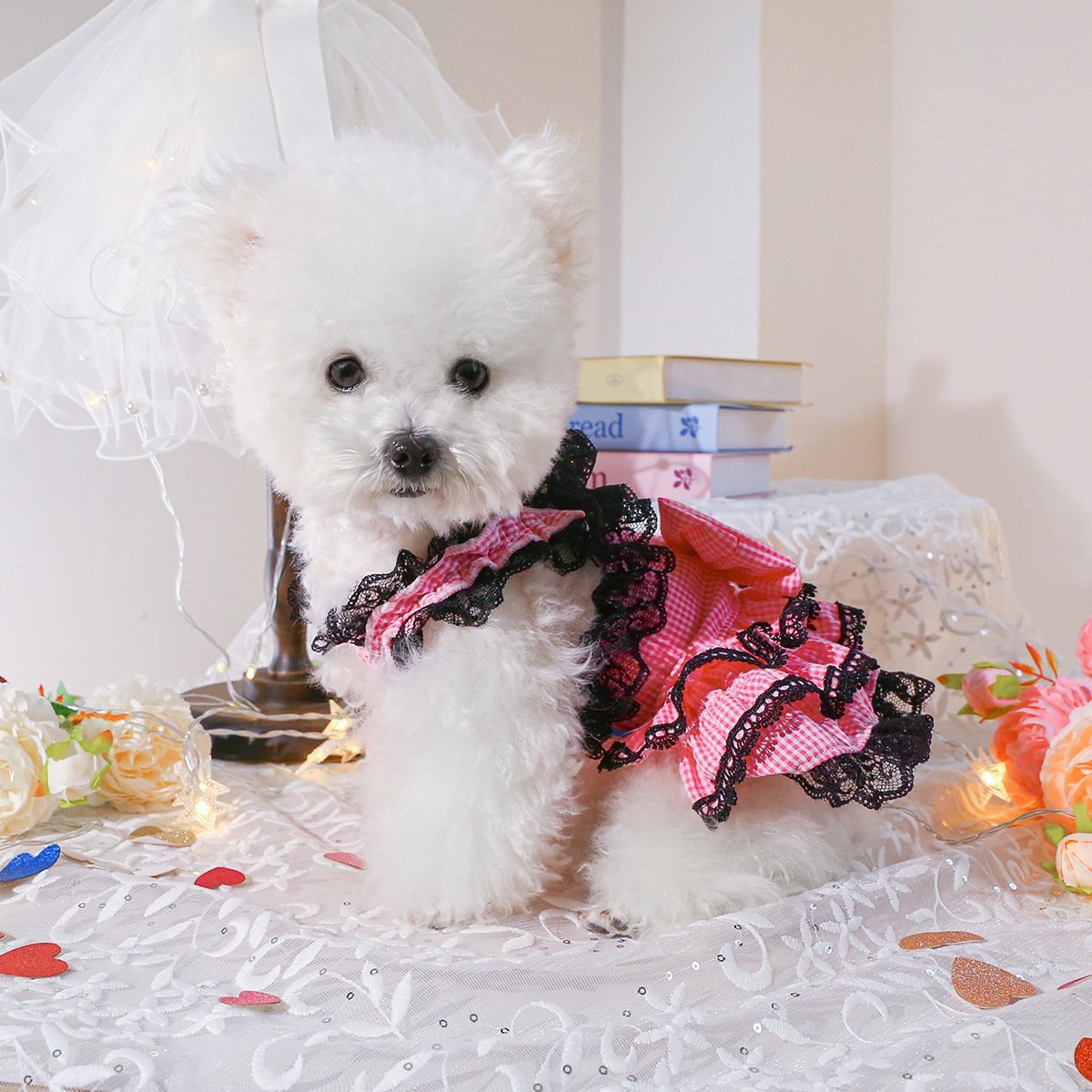 宠物服装宠物狗狗衣服可爱蕾丝吊带公主裙,宠物/宠物食品及用品,狗宠物服装/雨衣,淘宝优惠券,粉丝福利购,淘宝优惠卷