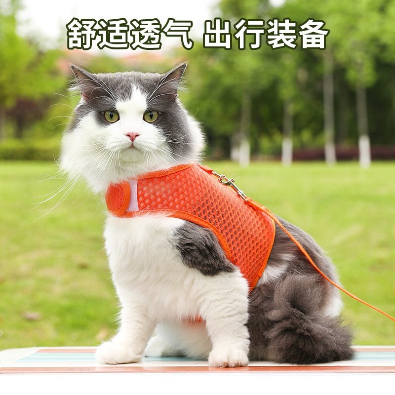 背心式猫咪牵引绳防挣脱外出专用溜猫胸背带可调节宠物透气遛猫绳,宠物/宠物食品及用品,猫牵引绳,淘宝优惠券,粉丝福利购,淘宝优惠卷