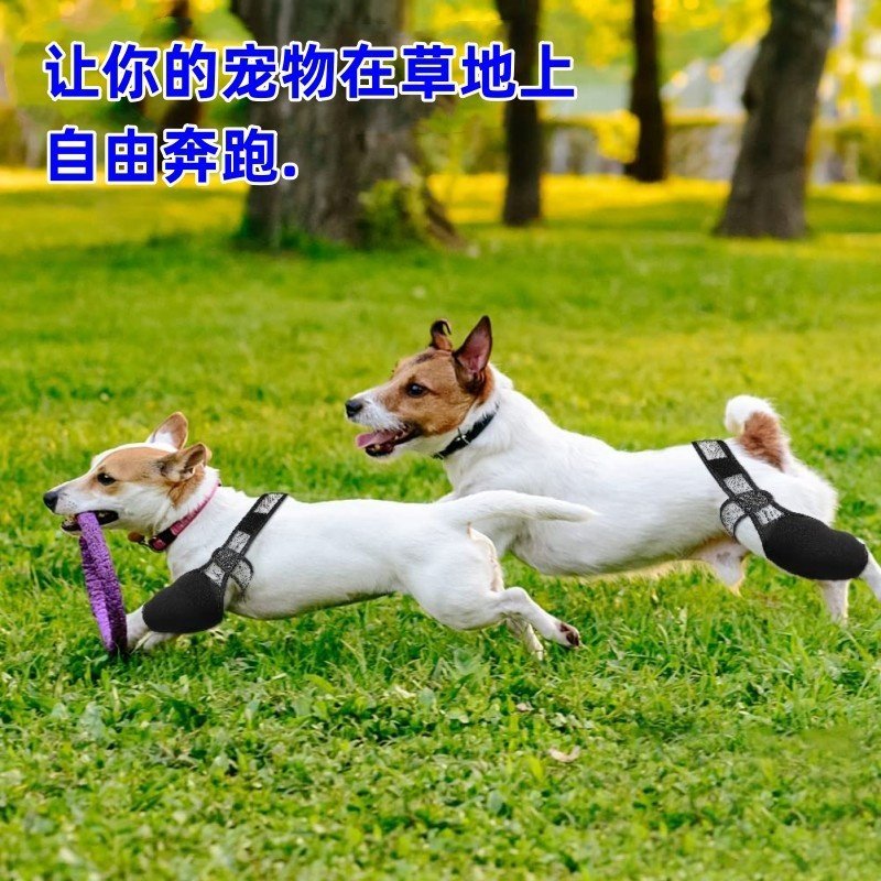 宠物护腿护具狗后腿受伤辅助带狗狗护膝受伤术后护腿套,宠物/宠物食品及用品,狗宠物服装/雨衣,淘宝优惠券,粉丝福利购,淘宝优惠卷