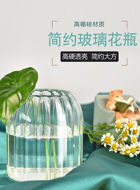 透明玻璃花瓶制品水培植物插花器轻奢家居客厅摆件条纹玻璃瓶