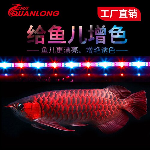 鱼缸灯 全光谱七彩增艳照明led灯防水水族箱潜水水草龙鱼灯
