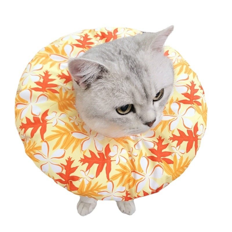 伊丽莎白圈猫防咬防舔防抓软头套猫狗宠物绝育耻辱圈棉布脖圈项圈,宠物/宠物食品及用品,宠物伊丽莎白圈,淘宝优惠券,粉丝福利购,淘宝优惠卷