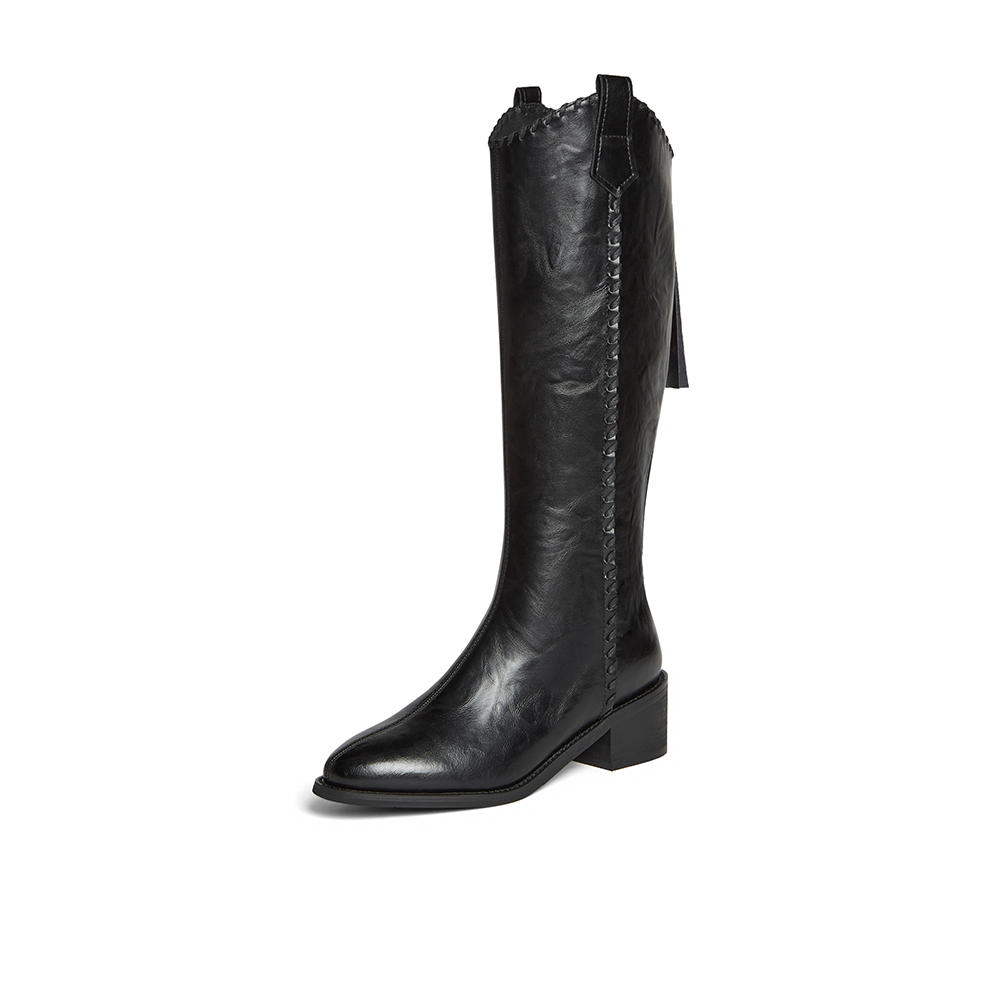 专柜正品百思图2025冬季新款骑士靴时尚粗跟尖头女长靴F3017DG5