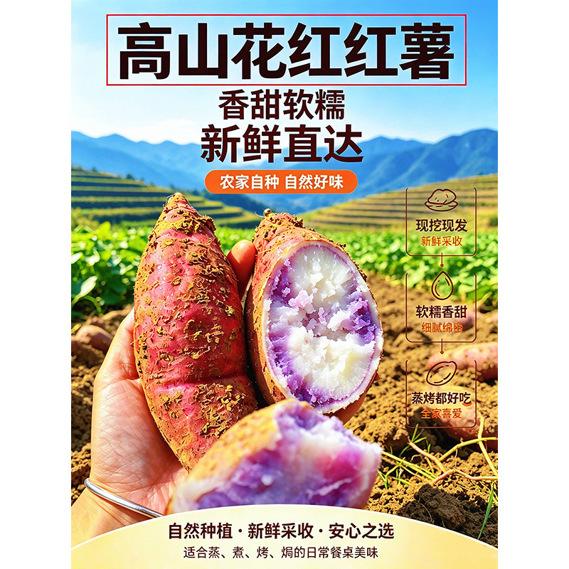 广西高山老品种花心红薯
