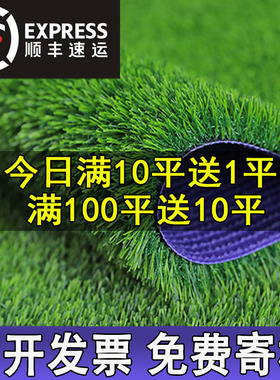 仿真草坪垫子绿色假草人造草皮户外室内装饰人工塑料幼儿园假地毯