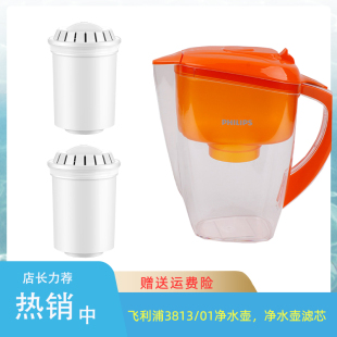 正品 01滤水杯滤芯厨房过滤器WP4200 Philips飞利浦净水壶WP3813