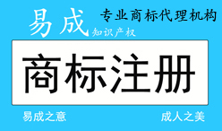 提交商标申请代理商标注册个人申请公司申请入驻平台R标