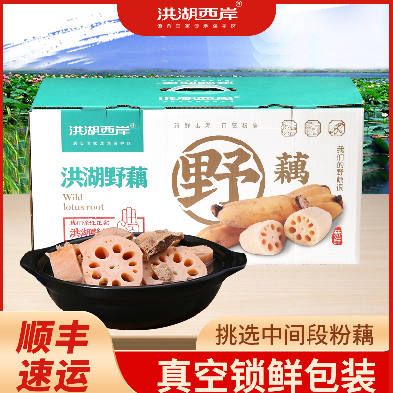 顺丰速运洪湖新鲜煲汤粉藕礼盒装