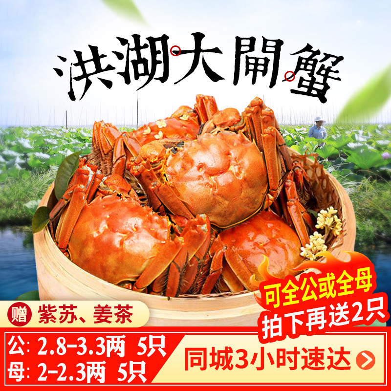 洪湖鲜活大闸蟹12只全母全公可选