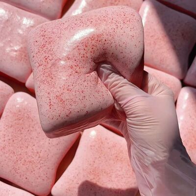 Soft Simulated Toast Squeeze Stress Relief Toys Squishy Brea