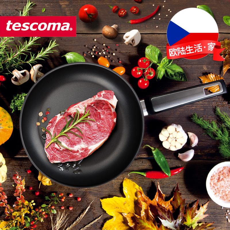 捷克tescoma平底锅家用