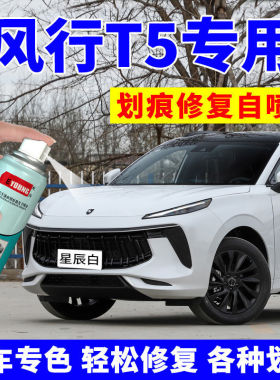 适用于东风风行t5EVO补漆笔珍珠白色车漆划痕修复碧玉青汽车修补