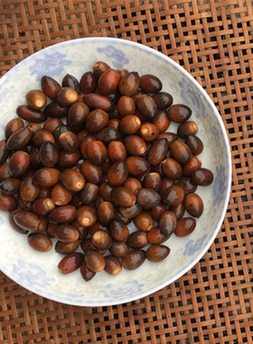 板栗生新鲜野生长小毛栗子现摘甘油栗小锥栗南雄江西特产松鼠零食