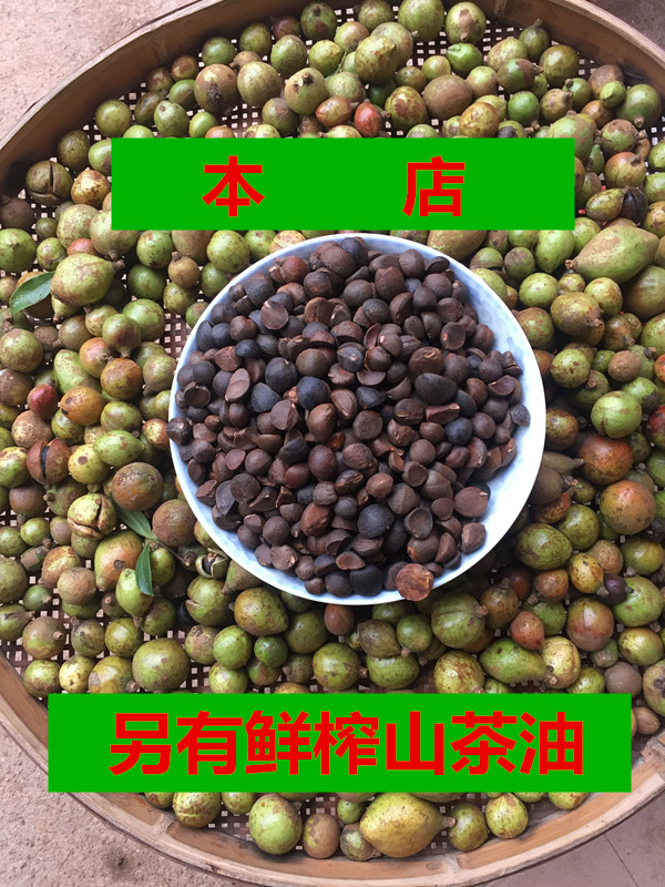 江西仁油茶籽仁剥壳山茶籽去壳榨油原料小籽仁山茶油仔农家野生