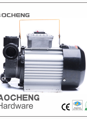 ACTP60大流量550W车载电动油泵纯铜电机柴油交流加油泵小型抽油机