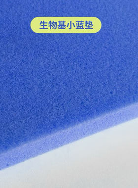 生物基小蓝垫记忆棉海绵垫层床垫加硬神器海绵床垫偏硬替换垫填充