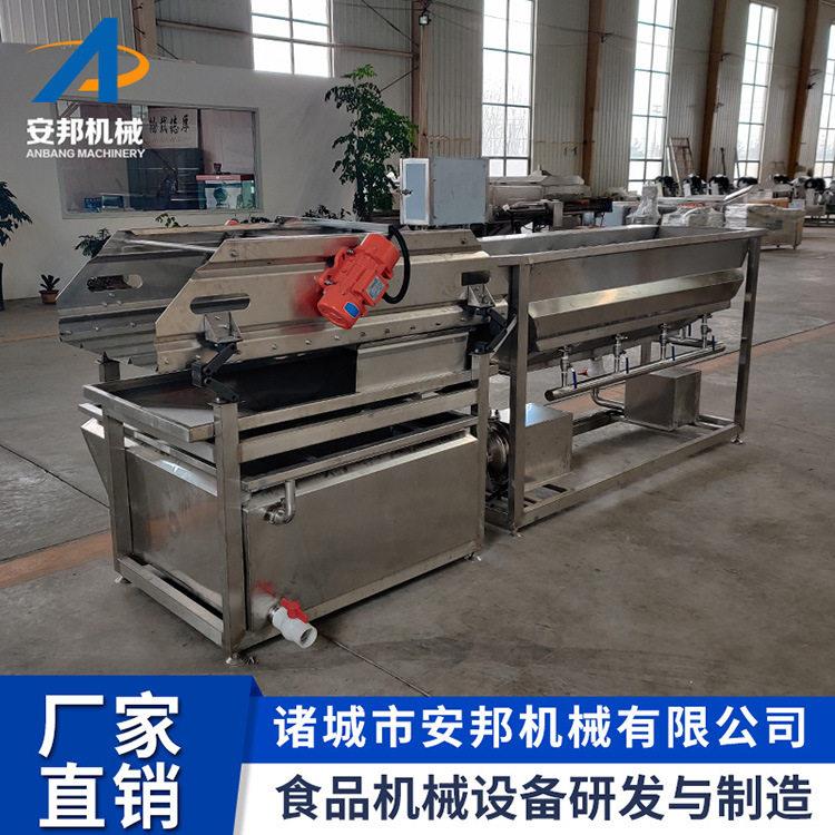 全自动生蚝气泡清洗设备土豆萝清洗机豆角蔬菜涡流气泡清洗机