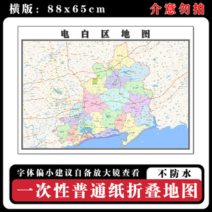 电白区地图88cm高清办公室背景墙贴广东省茂名市行政交通区域划分