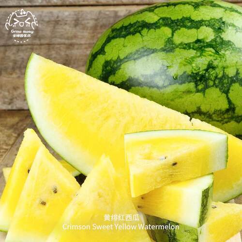 黄绯红西瓜种子传家宝水果超甜