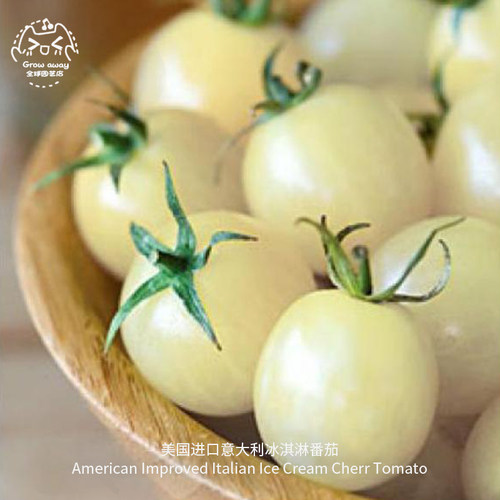 冰淇淋小樱桃番茄种子超甜传家宝